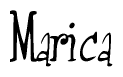The image contains the word 'Marica' written in a cursive, stylized font.