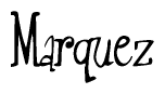 The image is of the word Marquez stylized in a cursive script.