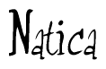 The image is of the word Natica stylized in a cursive script.