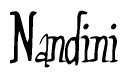 The image contains the word 'Nandini' written in a cursive, stylized font.