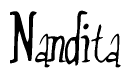 The image is a stylized text or script that reads 'Nandita' in a cursive or calligraphic font.