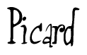 The image contains the word 'Picard' written in a cursive, stylized font.