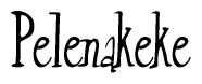 The image is a stylized text or script that reads 'Pelenakeke' in a cursive or calligraphic font.