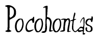 The image is a stylized text or script that reads 'Pocohontas' in a cursive or calligraphic font.