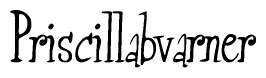 The image is of the word Priscillabvarner stylized in a cursive script.
