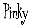 The image is a stylized text or script that reads 'Pinky' in a cursive or calligraphic font.