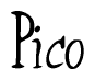 The image is of the word Pico stylized in a cursive script.