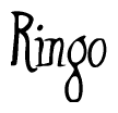 The image is a stylized text or script that reads 'Ringo' in a cursive or calligraphic font.