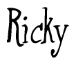 The image contains the word 'Ricky' written in a cursive, stylized font.