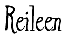 The image contains the word 'Reileen' written in a cursive, stylized font.