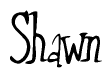 The image is of the word Shawn stylized in a cursive script.