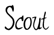 The image is a stylized text or script that reads 'Scout' in a cursive or calligraphic font.