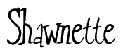 The image is of the word Shawnette stylized in a cursive script.