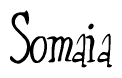 The image is of the word Somaia stylized in a cursive script.