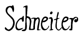 The image is of the word Schneiter stylized in a cursive script.
