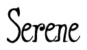 The image is of the word Serene stylized in a cursive script.