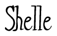 The image is a stylized text or script that reads 'Shelle' in a cursive or calligraphic font.