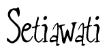 The image is a stylized text or script that reads 'Setiawati' in a cursive or calligraphic font.