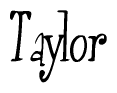 The image contains the word 'Taylor' written in a cursive, stylized font.