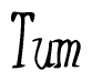 The image is of the word Tum stylized in a cursive script.