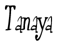 The image is of the word Tanaya stylized in a cursive script.