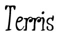 The image is a stylized text or script that reads 'Terris' in a cursive or calligraphic font.
