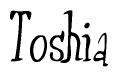 The image contains the word 'Toshia' written in a cursive, stylized font.