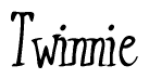 The image is of the word Twinnie stylized in a cursive script.