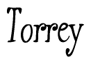The image is a stylized text or script that reads 'Torrey' in a cursive or calligraphic font.