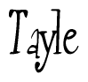 The image contains the word 'Tayle' written in a cursive, stylized font.