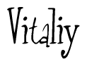 The image contains the word 'Vitaliy' written in a cursive, stylized font.