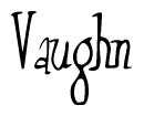 The image is of the word Vaughn stylized in a cursive script.