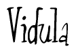 The image contains the word 'Vidula' written in a cursive, stylized font.