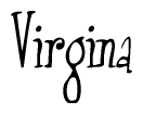 The image is a stylized text or script that reads 'Virgina' in a cursive or calligraphic font.