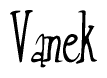 The image is of the word Vanek stylized in a cursive script.