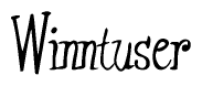 The image is of the word Winntuser stylized in a cursive script.