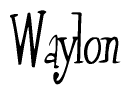 The image is of the word Waylon stylized in a cursive script.