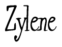 The image contains the word 'Zylene' written in a cursive, stylized font.