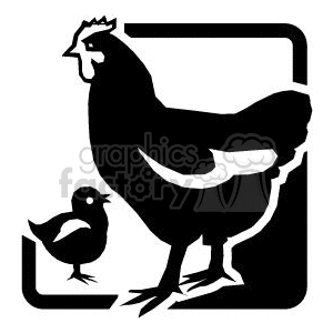The clipart image depicts a silhouette of a rooster and a chick within a square border.
