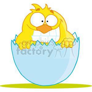   This clipart image features a funny yellow Easter chick. The chick is partially hatched and is still nestled inside the lower half of its cracked blue eggshell. It has big, round eyes and appears to be smiling or grinning with a large beak. The chick