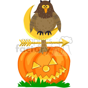 owl sitting on a pumpkin