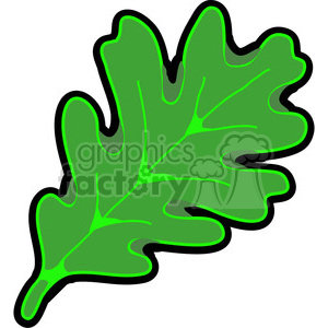 green White Oak Leaf