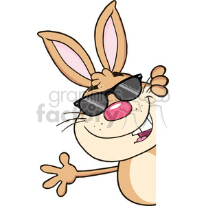   Cute Brown Rabbit With Sunglasses Looking Around A Blank Sign And Waving 