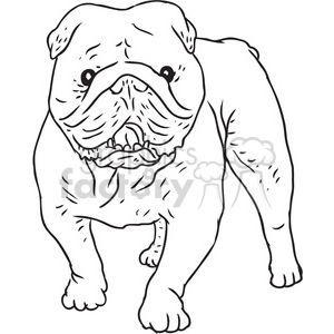   bulldog vector RF clip art images 