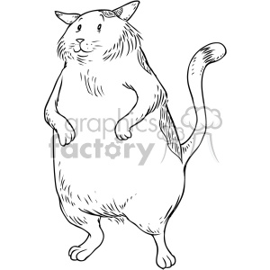   fat cat character vector illustration 