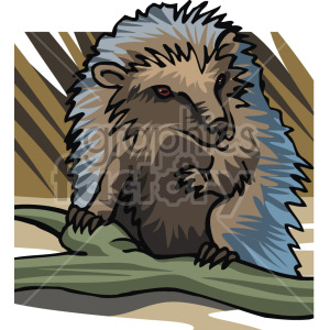 The clipart image shows a hedgehog, which are small spiny mammal with brown and tan fur. It is looking directly at the viewer