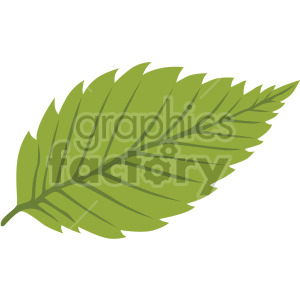 birch leaf