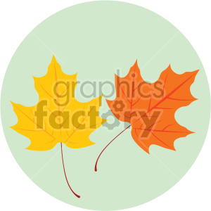 maple leaves on green circle background