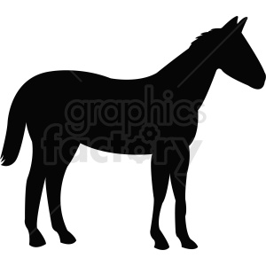 A black silhouette of a horse in clipart form.