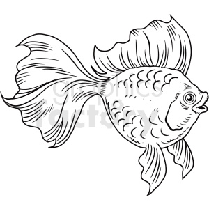 Download Black White Realistic Betta Fish Clipart Commercial Use Gif Jpg Png Eps Svg Ai Pdf Clipart 411428 Graphics Factory